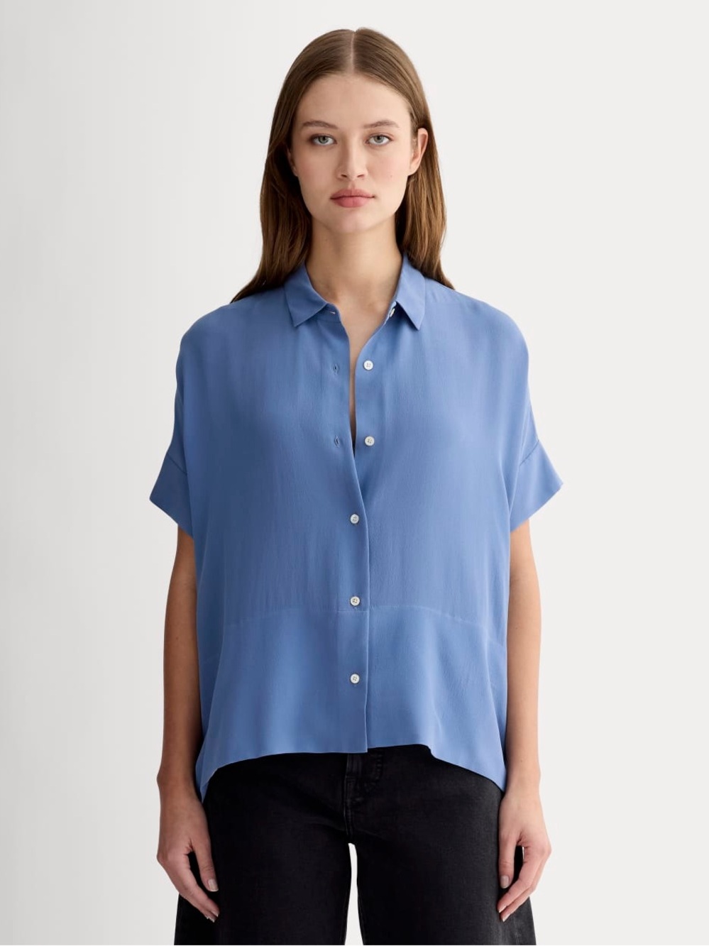 Everlane The Boxy Shirt in French Blue Silk
